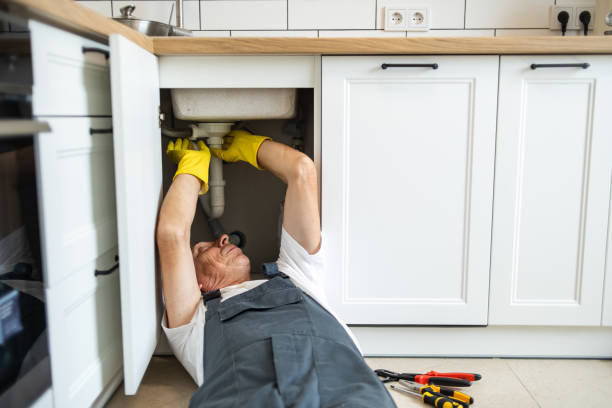 Best Septic Systems  in Manhasset Hills, NY